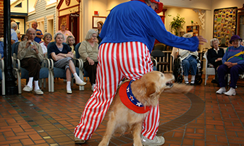 Patriotic Themed Dog Freestyle Dance